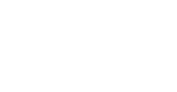 Henrich & Denzel Logo